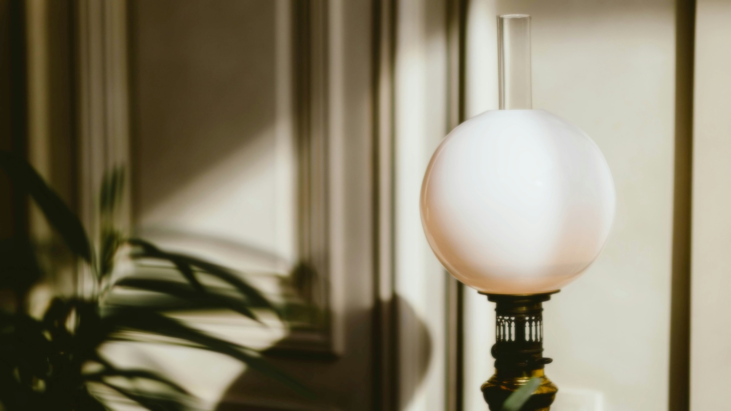 Intérieur calme et lumineux d’un cabinet de psychologue à Angers, avec plante et lumière douce